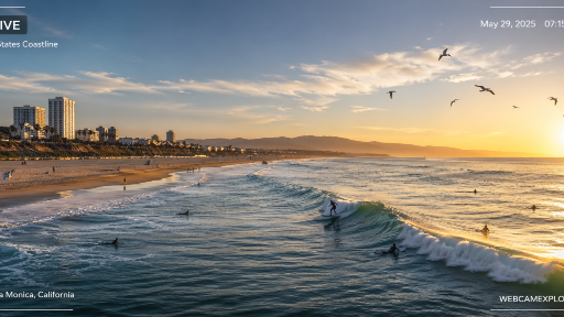 Live Sea Webcams in the United States | Watch the Ocean in Real Time