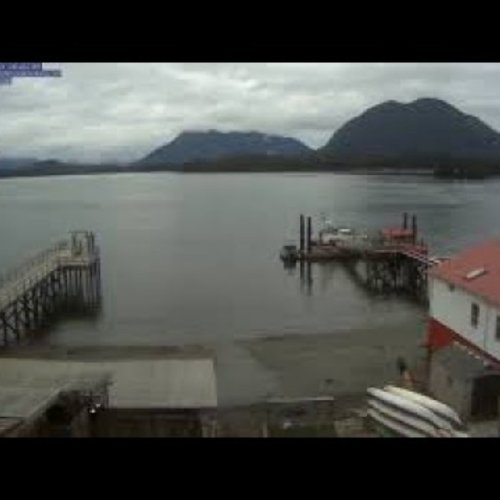 Tofino Harbour Sea Kayaking | Live Cam View