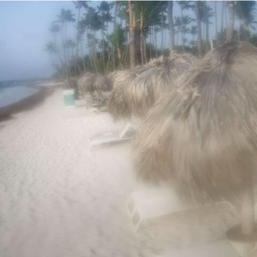 Cortecito Beach Live Webcam, Punta Cana