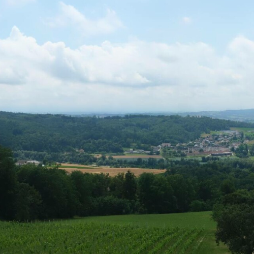 Ottensheim - Dürnberg: A Live View of Austria's Green Heart