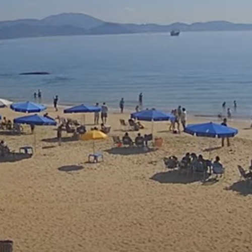 praia de laranjeiras beach balneário camboriú, sc, brazil
