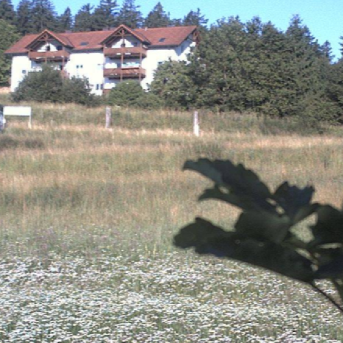 Savognin, Switzerland: Alpine Meadow & Resort View