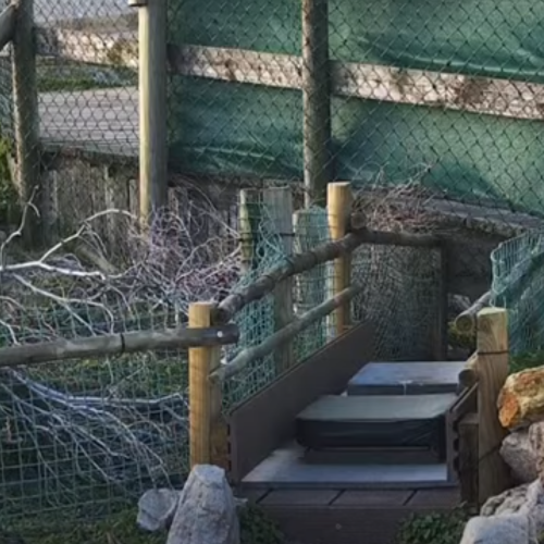 Stony Point Penguins Betty's Bay, South Africa Live Webcam
