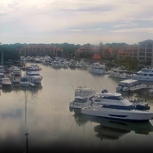 Shelter Cove Marina Live Webcam: Hilton Head Island Views