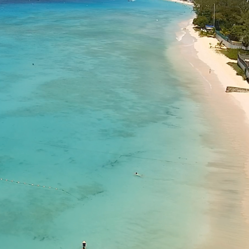 Carlisle Bay Barbados Live Webcam