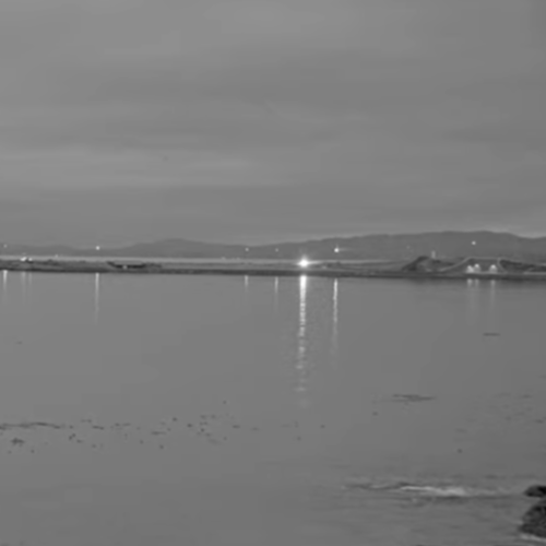 Ross Bay Victoria BC Live Webcam | Pacific Coast Views