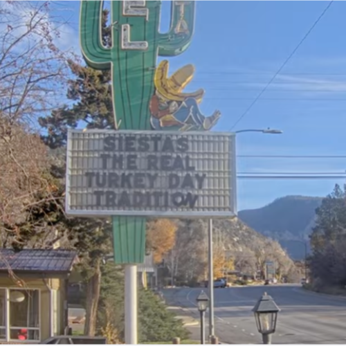 Siesta Motel Cactus Live Cam - Durango, CO