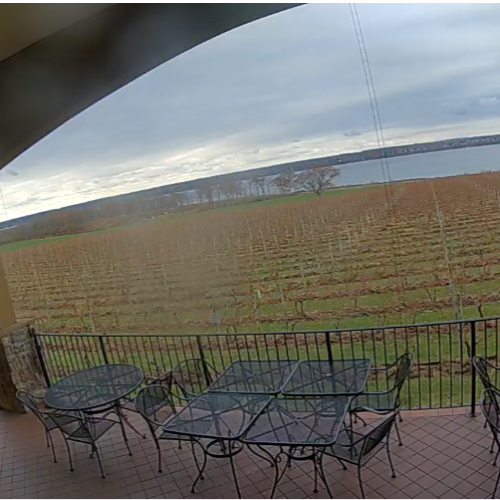 Ventosa Vineyards & Seneca Lake Live Webcam in Geneva, NY