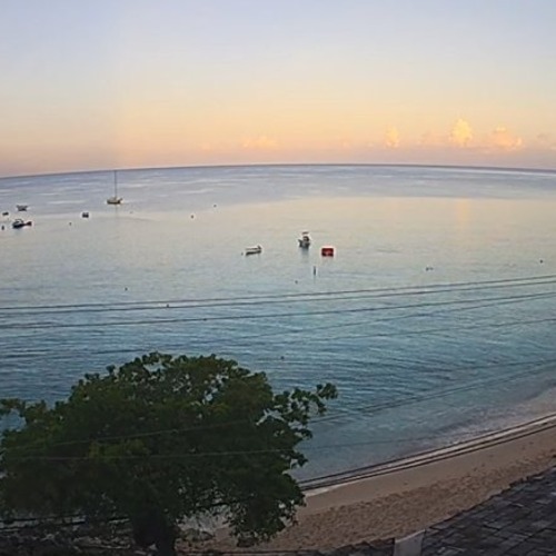 Paynes Bay Beach Live: St. James, Barbados Coastal View