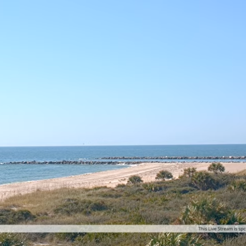St. George Island Beach Live Cam: 'Turtley Rad Cut' View