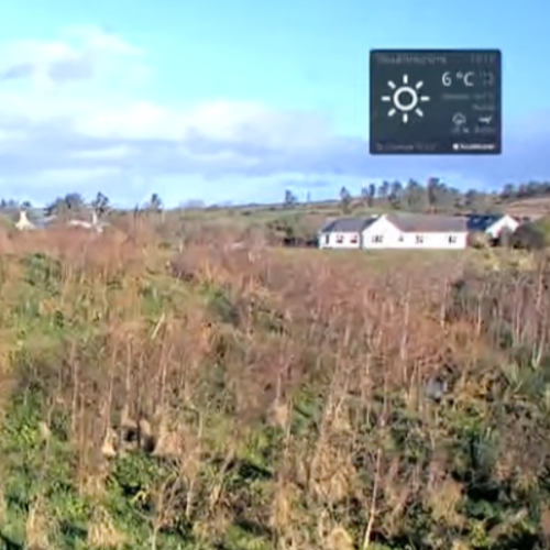 Cloudforest One Live Webcam: Reforestation in Lahinch, Ireland