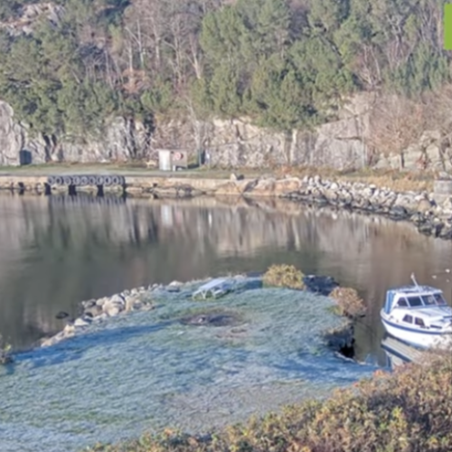 Dale, Sandnes Live Webcam: Fjord Views & Coastal Life in Rogaland, Norway