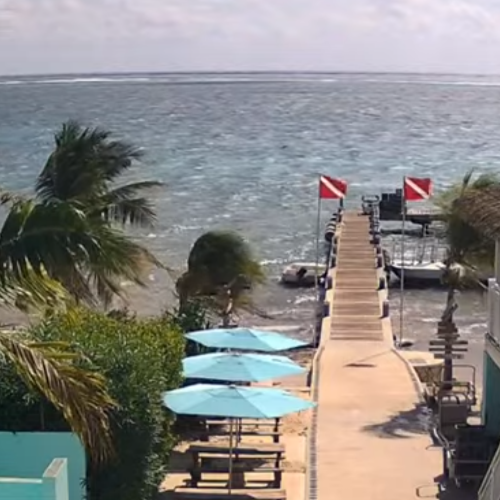 Ocean Frontiers Dock Live: Grand Cayman East End Views