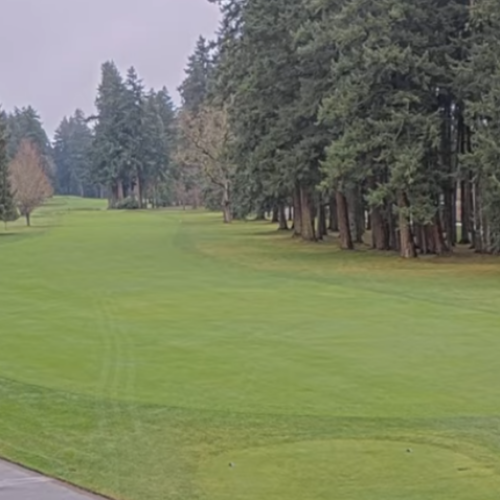 Patiala Golf Course Live Webcam: 5th Fairway