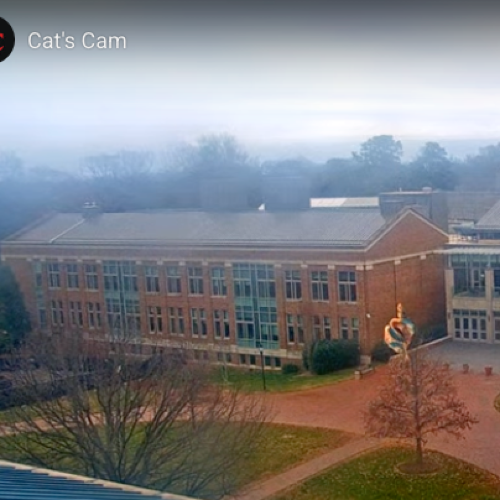 Live From Davidson College: Cat's Cam Campus View