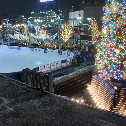 Martius Park Live Cam in Downtown Detroit