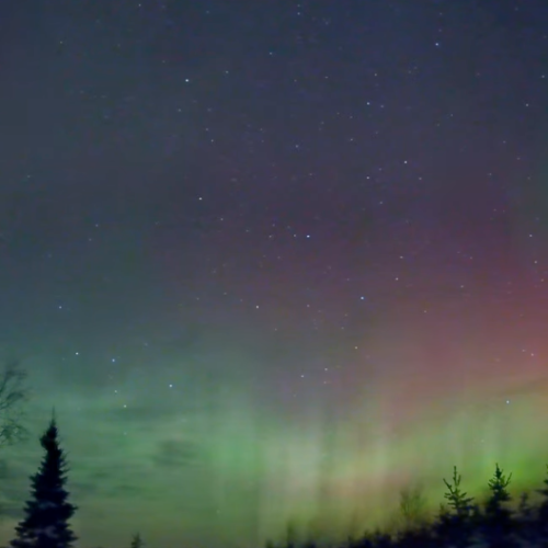 Aurora Abitibi Québec Live Northern Lights