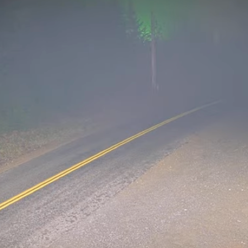 Dewatto Holly Road Live Webcam: Shelton, Washington