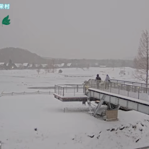 Live Angel Forest Shirakawa Kogen Webcam: Fukushima, Japan