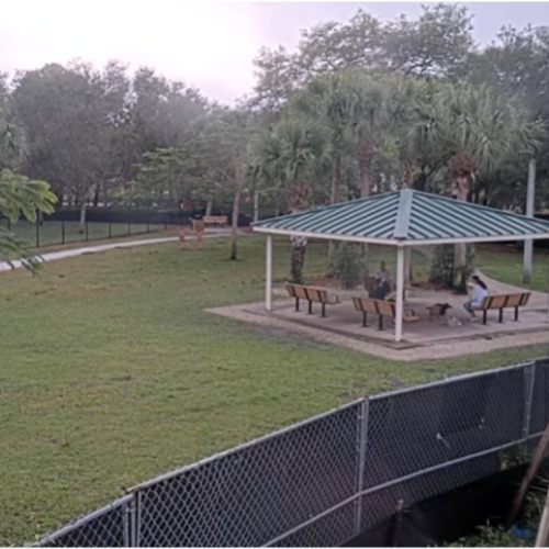 Cinquez Dog Park West Webcam, Jupiter, Florida