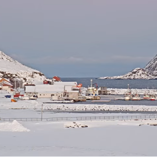 Skarsvåg Live Webcam: Norway's Northernmost Fishing Village