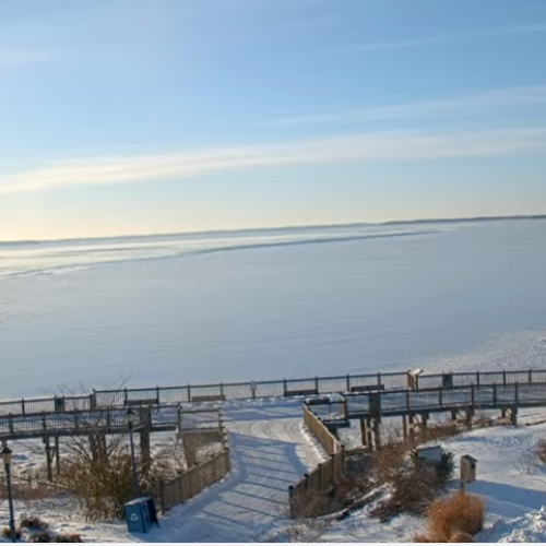 Live Havre de Grace Decoy Cam: Susquehanna River & Chesapeake Bay