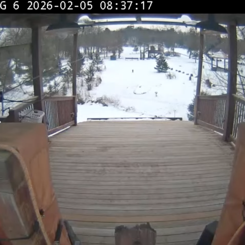 Bigfoot Zipline Wisconsin Dells Live Cam: Adventure & Scenic Views