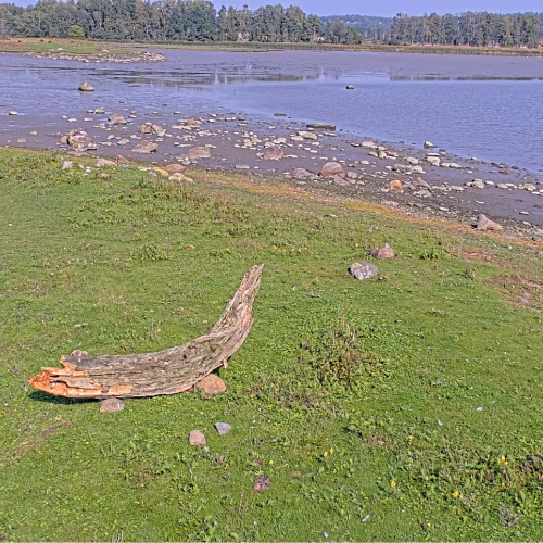Ilene Nature Reserve Live Cam: Tønsberg, Norway