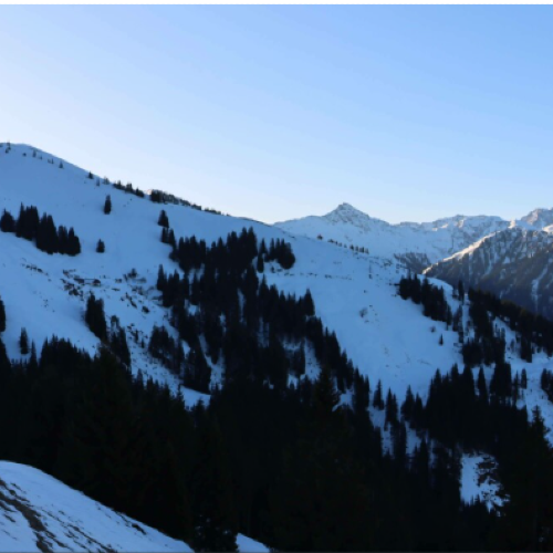 Bichlalm Kitzbühel Live Webcam: Alpine Views at 1580m