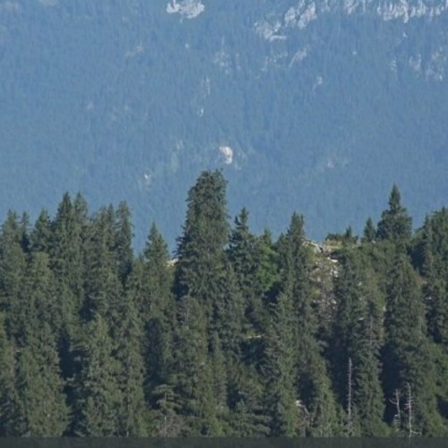 Predigtstuhl Bavarian Alps Mountain View