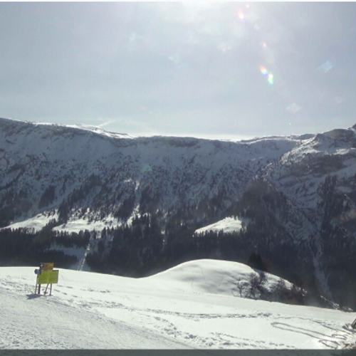 Spitzbühl Seiser Alm Live Webcam: Breathtaking Dolomite Mountain Views