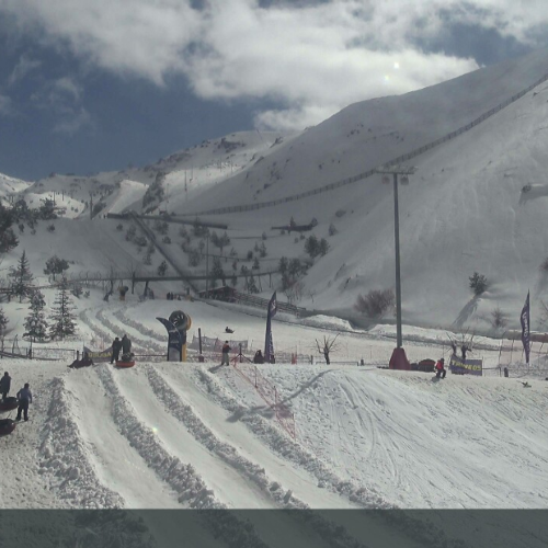 Sierra Nevada Mirlo Blanco Live