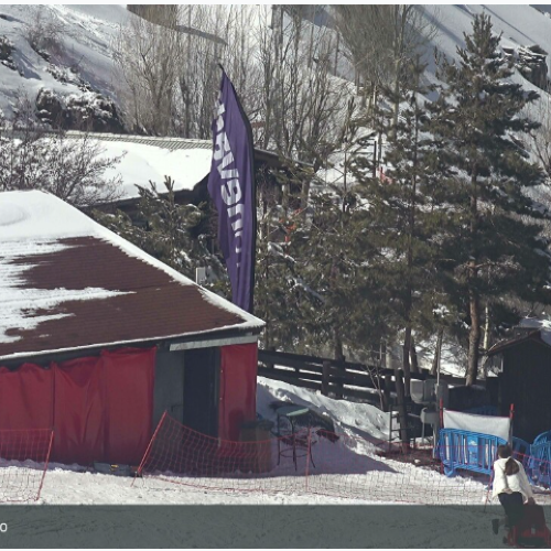 Sierra Nevada Mirlo Blanco Webcam: Live Mountain Views 🏔️