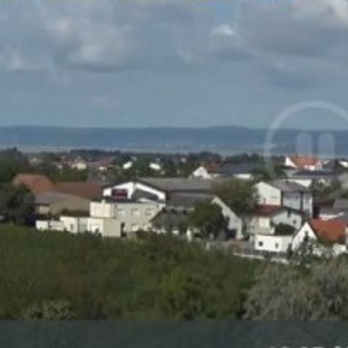 Gols, Austria Live Webcam: Vineyard Views