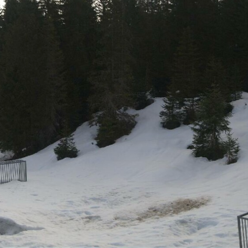 Seefeld Wildmoosalm & Katzenkopf Live: Alpine Views from Austria