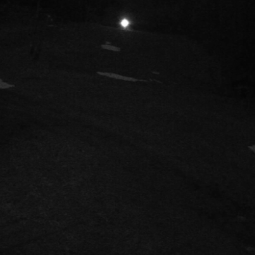 Fantastic Lift Talstation Webcam: Live Views of Arralifte, Faistenau, Austria