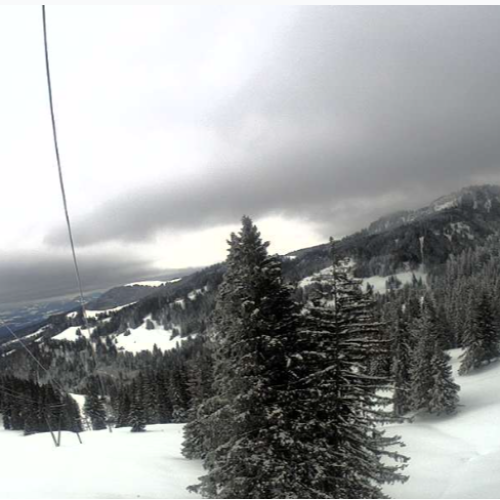 Selital Schwarzenbühl: Live Alpine Webcam View from 1,494m