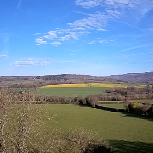 Tongwynlais Countryside Live Stream: Welsh Valley Views