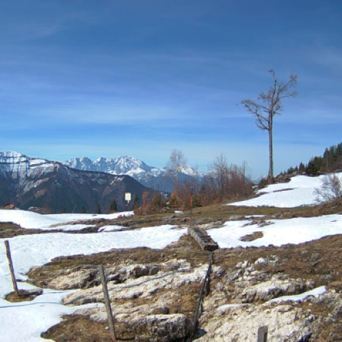 Latschenalm: A Winter Paradise in Gaißau, Austria 🏔️