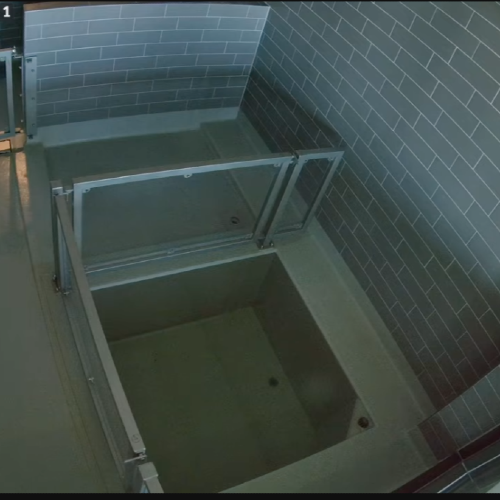 Seal Rehabilitation Center Phase 1 Live Cam - Lauwersoog, Netherlands