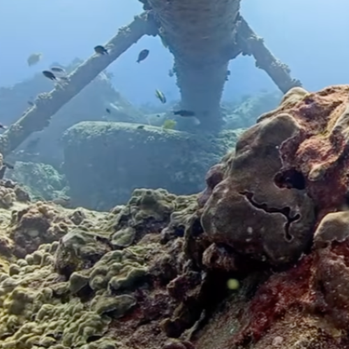 Underwater Reef Aqualink, Mega Lab, Hawaii