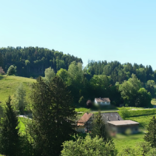 Geflügelhof Schönenbühl Live Webcam: Wolfhalden, Switzerland