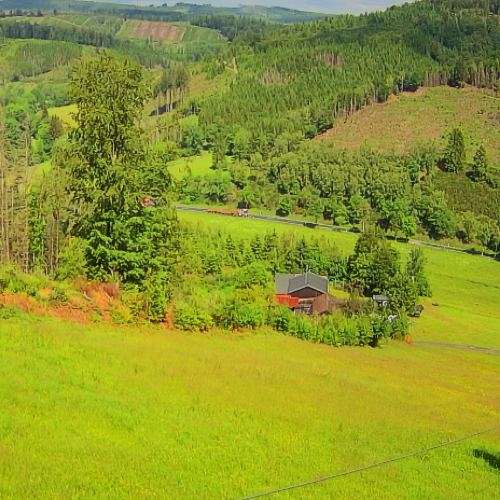 Hesselbacher Bergstation Live: Ski Slopes & Forest Views in Bad Laasphe
