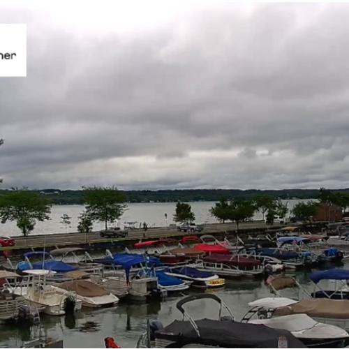 Sutter's Marina Boat Harbor Live View