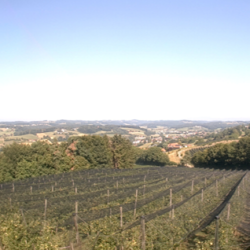Live Webcam Gnas: Panoramic Vineyard Views in Styria, Austria