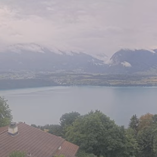 Sigriswil Live Webcam: Lake Thun & Bernese Alps View Switzerland