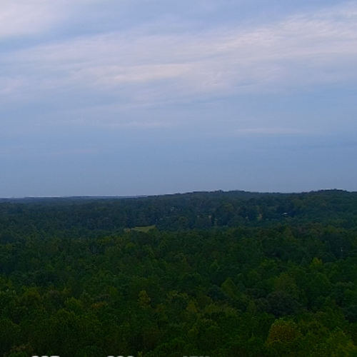 Cedar Grove, Alabama Live Webcam: Panoramic Forest Views