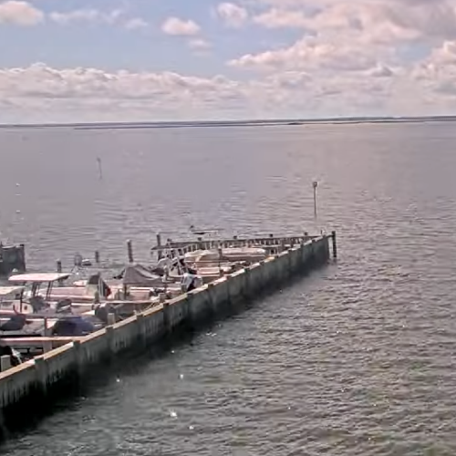 Little Egg Harbor Bay Live Camera: Holgate & Beach Haven View