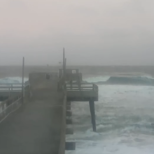 Avalon Pier Live Camera: Atlantic Views & Shoreline Action