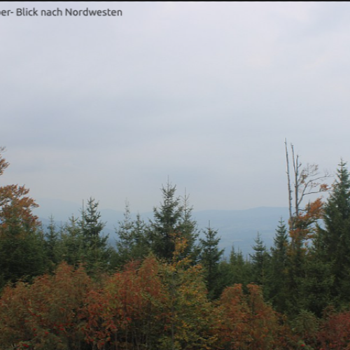 Berghaus Sonnenfels Großer Arber Webcam: Bavarian Forest Mountain Views
